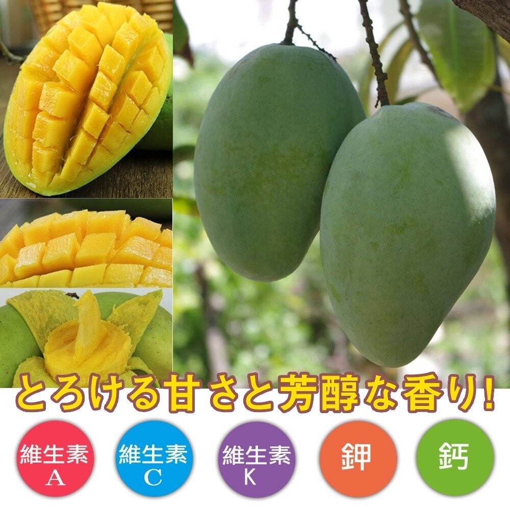 帝王級黑香芒果 0運費【果之蔬】-細節圖5