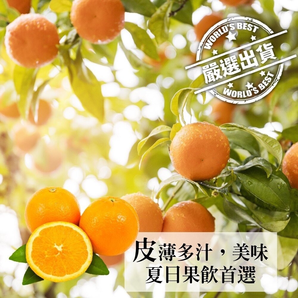 嚴選美國進口香吉士 0運費【果之蔬】-細節圖2