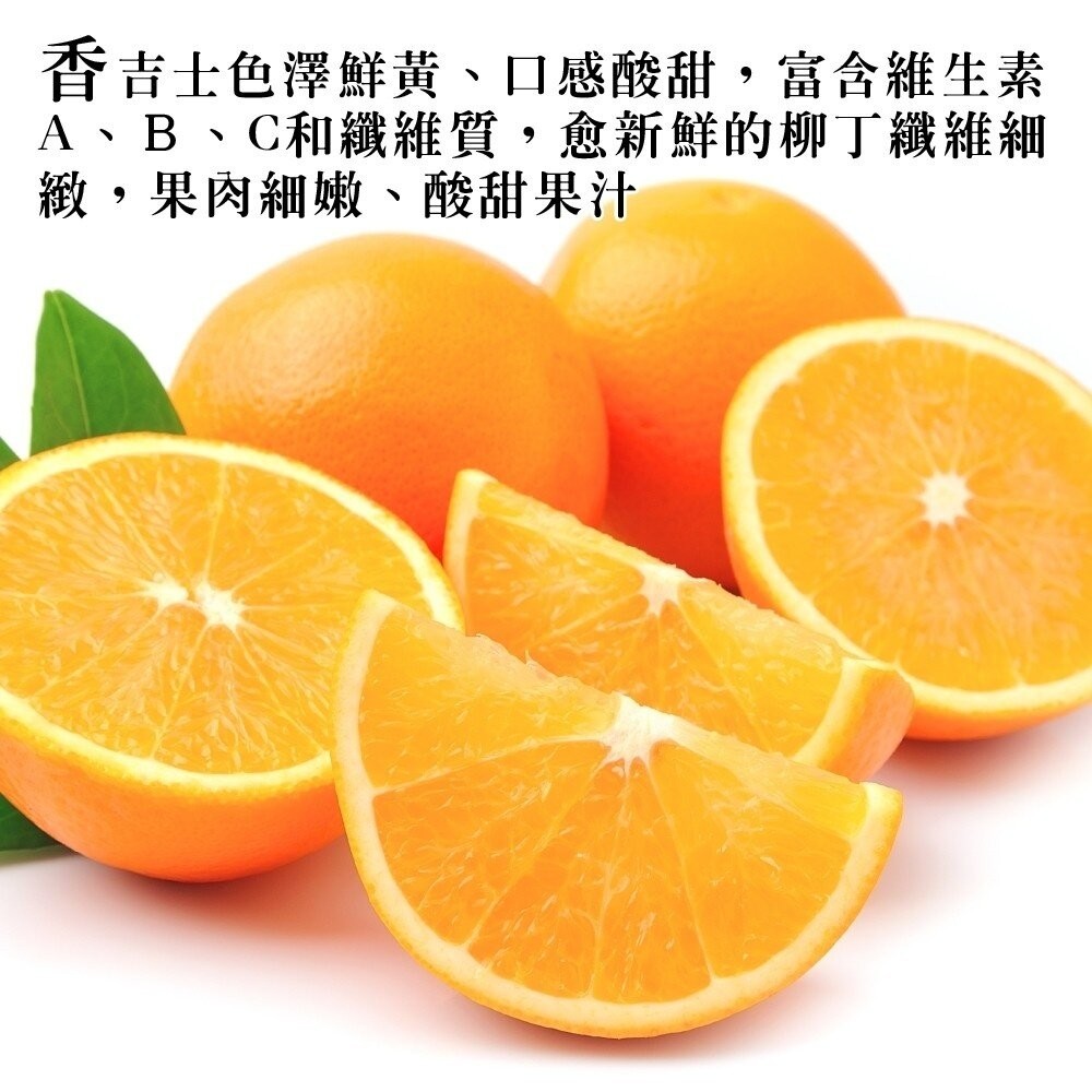 嚴選美國進口香吉士 0運費【果之蔬】-細節圖5
