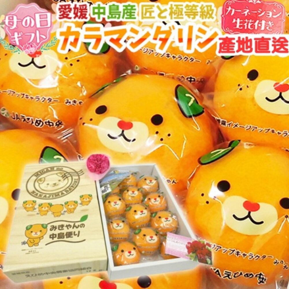 日本愛媛縣卡通溫室蜜柑原裝禮盒1kg±10%/12-15入 0運費【果之蔬】日本蜜柑 日本橘子 日本水果禮盒 愛媛蜜柑-細節圖2