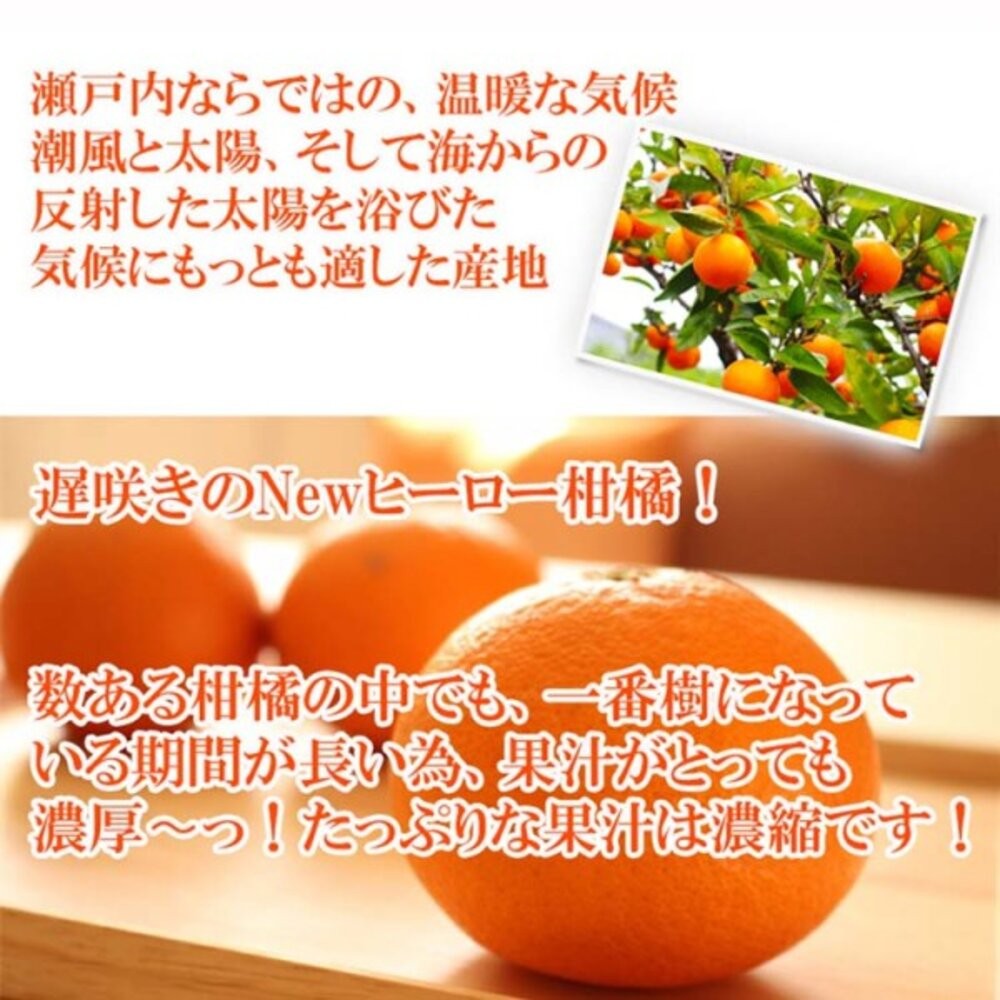 日本愛媛縣卡通溫室蜜柑原裝禮盒1kg±10%/12-15入 0運費【果之蔬】日本蜜柑 日本橘子 日本水果禮盒 愛媛蜜柑-細節圖3