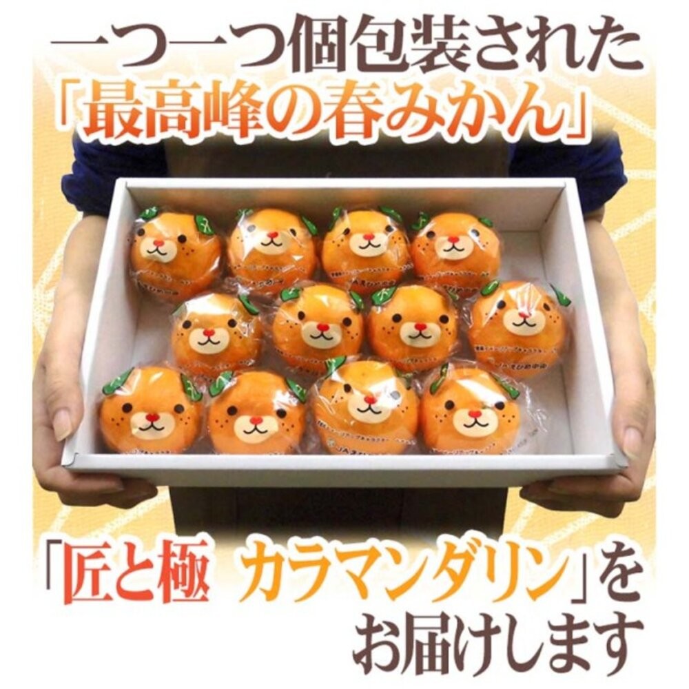 日本愛媛縣卡通溫室蜜柑原裝禮盒1kg±10%/12-15入 0運費【果之蔬】日本蜜柑 日本橘子 日本水果禮盒 愛媛蜜柑-細節圖7