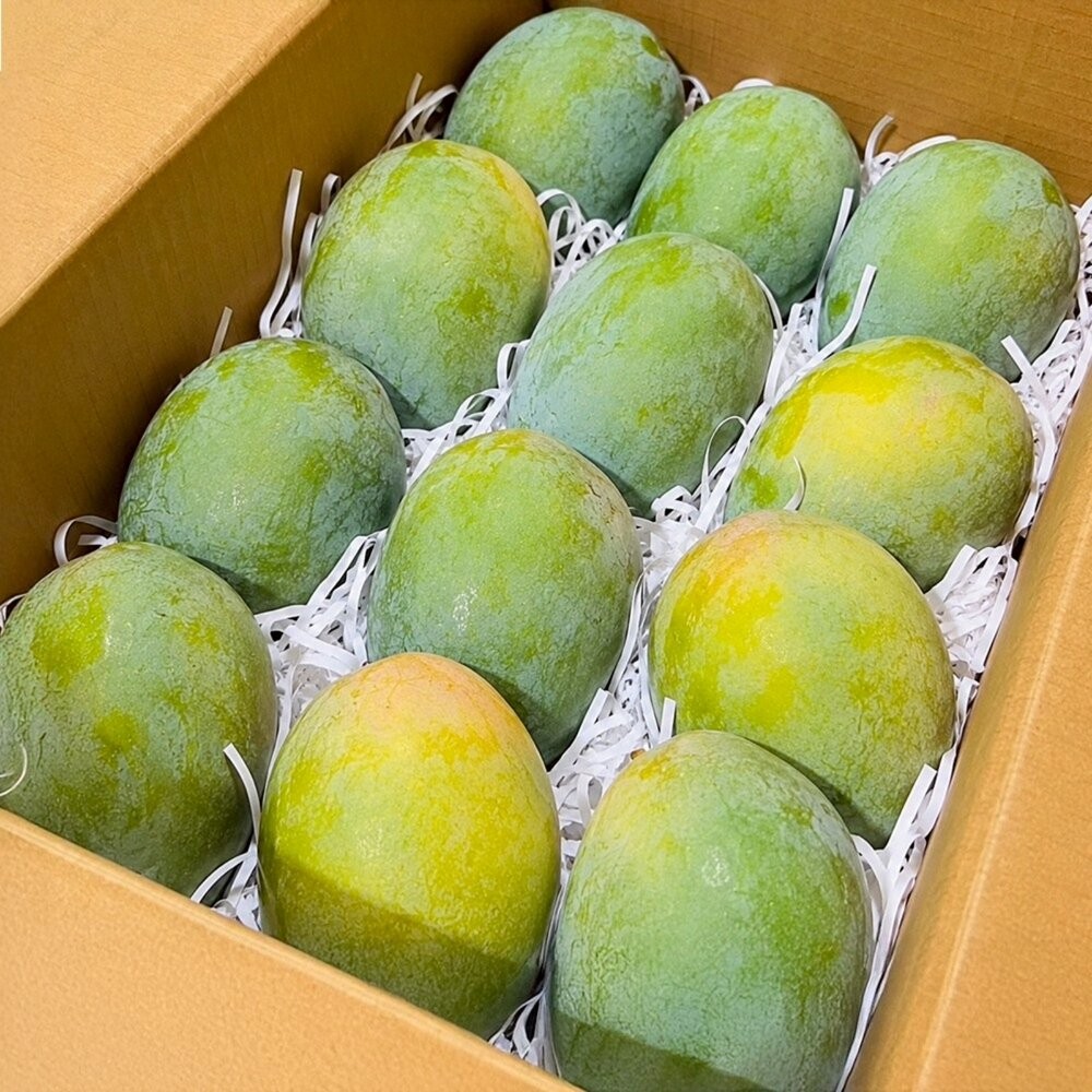 台南楠西金香芒果10斤±10%／12-15入 0運費【果農直配】金香芒果-細節圖2