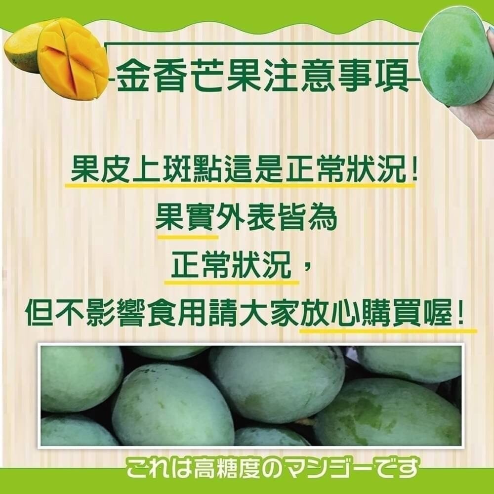 台南楠西金香芒果10斤±10%／12-15入 0運費【果農直配】金香芒果-細節圖6