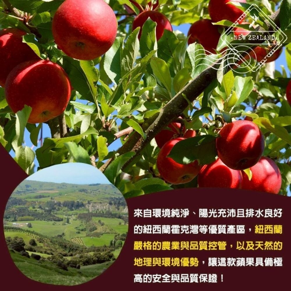 紐西蘭Diva蘋果 原箱18kg±10%含箱 0運費【果之蔬】紐西蘭蘋果 進口蘋果 Diva蘋果 無蠟蘋果-細節圖4