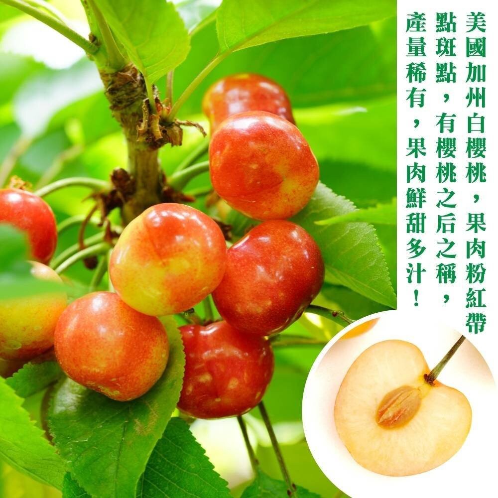 美國空運9.5R白櫻桃禮盒 0運費【果之蔬】-細節圖2