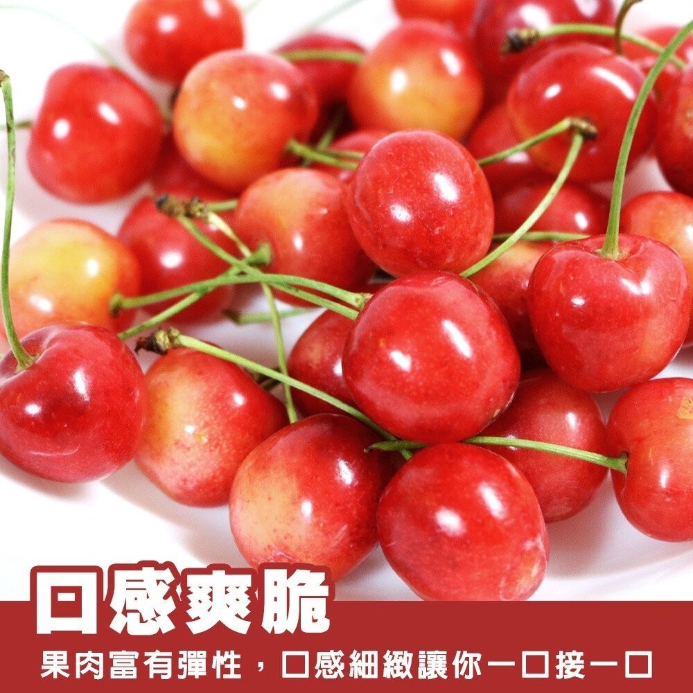 美國空運9R白櫻桃 0運費【果之蔬】美國櫻桃 櫻桃禮盒 白櫻桃禮盒 草莓櫻桃-細節圖4