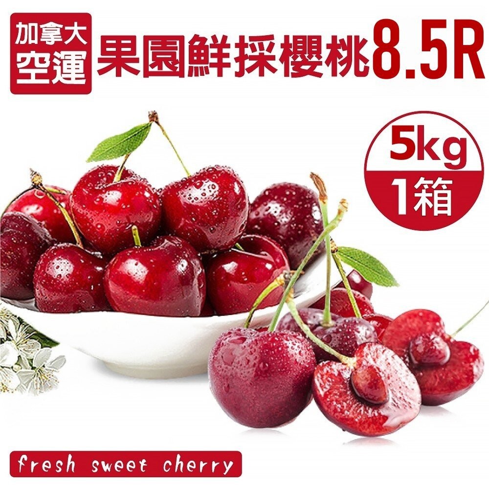 加拿大嚴選8.5R櫻桃原箱5kg±10%/含盒重【果之蔬】-細節圖2
