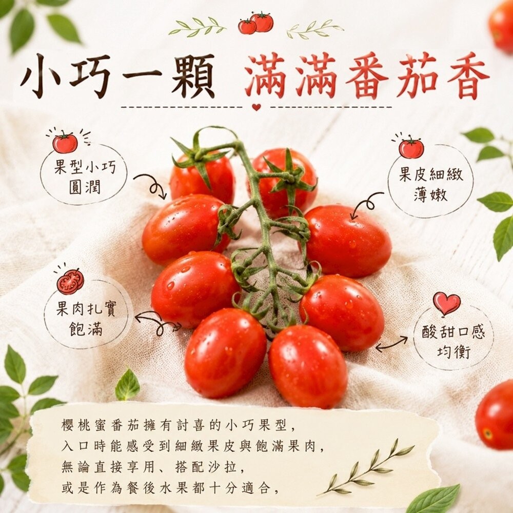 台灣櫻桃蜜番茄(每盒600g±10%含盒) 0運費【果農直配】櫻桃蕃茄 櫻桃番茄 櫻桃小蕃茄-細節圖3
