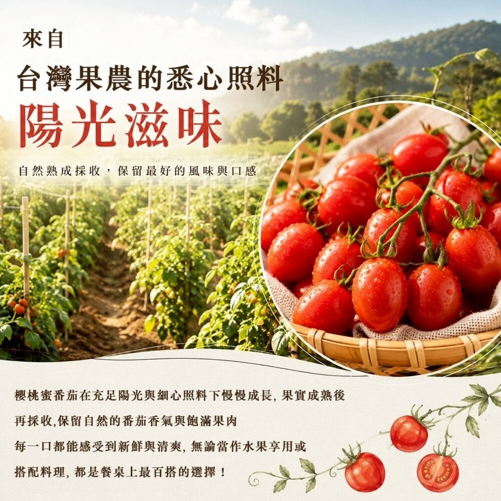 台灣櫻桃蜜番茄(每盒600g±10%含盒) 0運費【果農直配】櫻桃蕃茄 櫻桃番茄 櫻桃小蕃茄-細節圖4