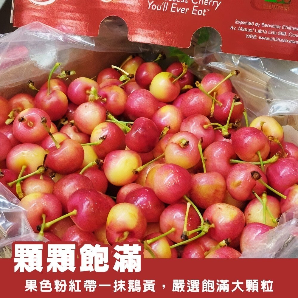 美國草莓白櫻桃禮盒 0運費【果之蔬】美國櫻桃 進口櫻桃 白櫻桃 櫻桃禮盒 白櫻桃禮盒 水果禮盒 9R 9.5R-細節圖5