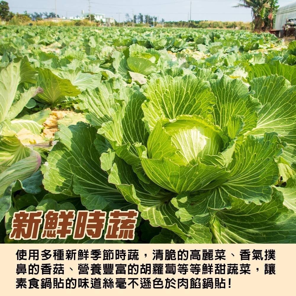 奇津冷凍素食熟鍋貼(每包30顆/約900g)【海陸管家】免額免運-細節圖4