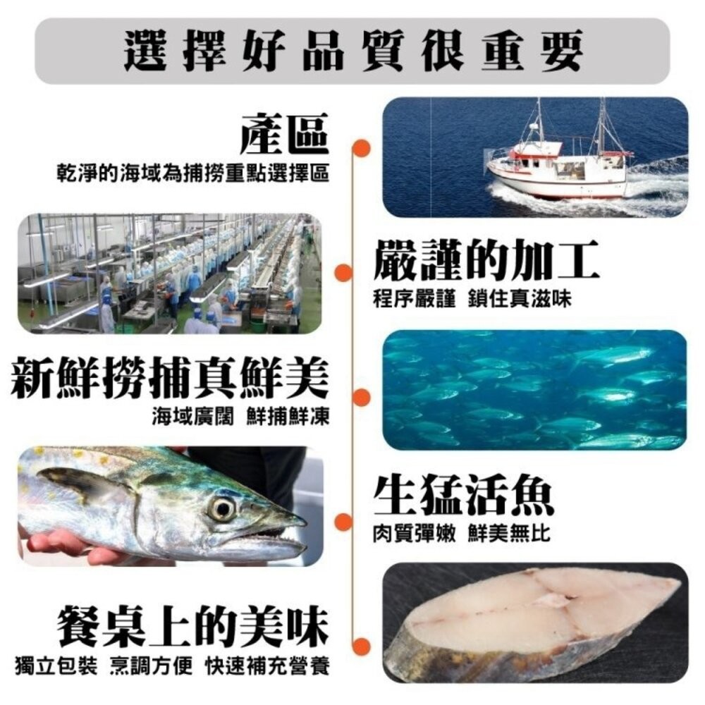 鮮凍XL土魠魚切片(每片300g±10%)【天天鮮配】滿額免運 厚切魚排/營養美味/家庭料理必備-細節圖3