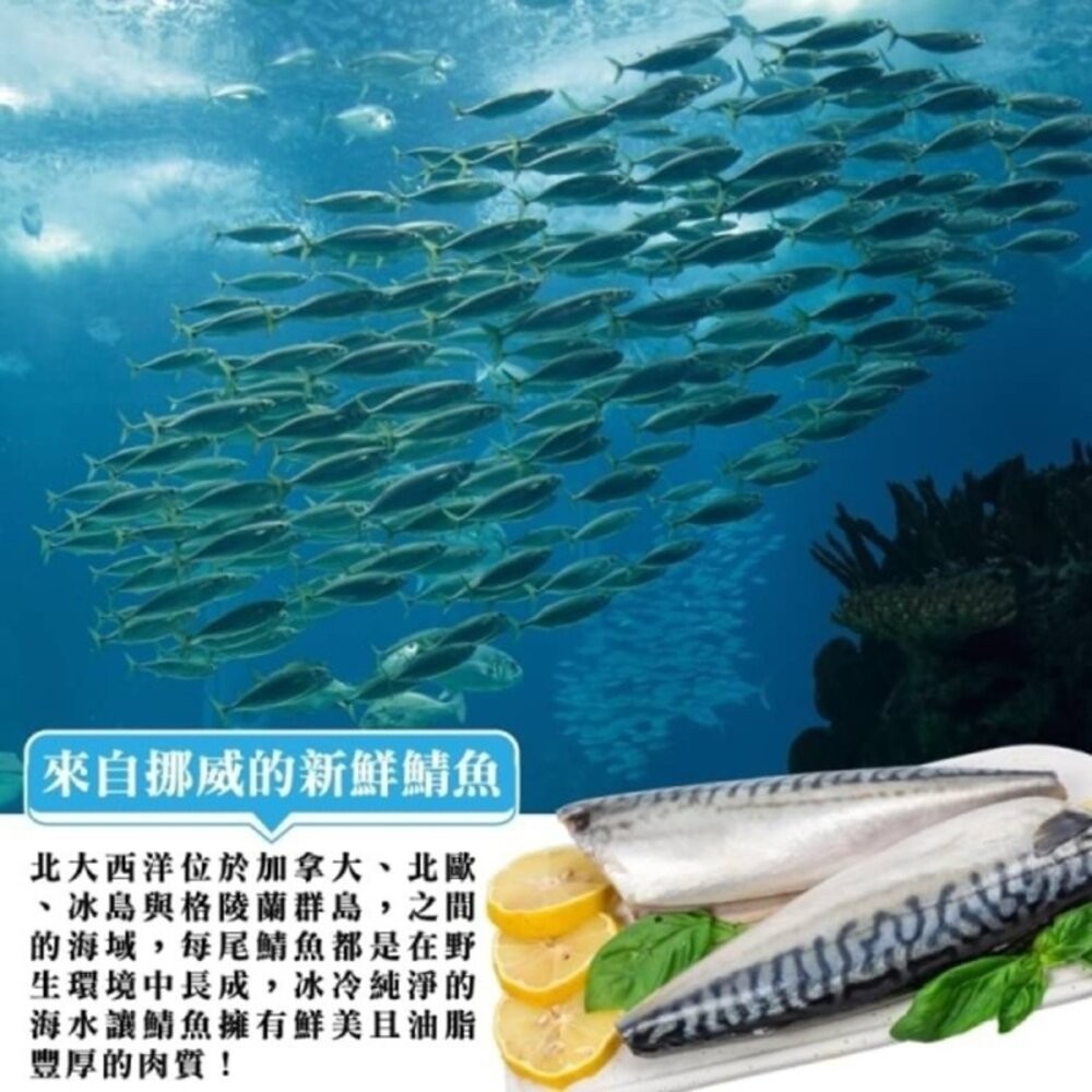 挪威薄鹽鯖魚＋無刺虱目魚肚 12片超值組【天天鮮配】每日雙魚組｜家庭料理必備-細節圖3