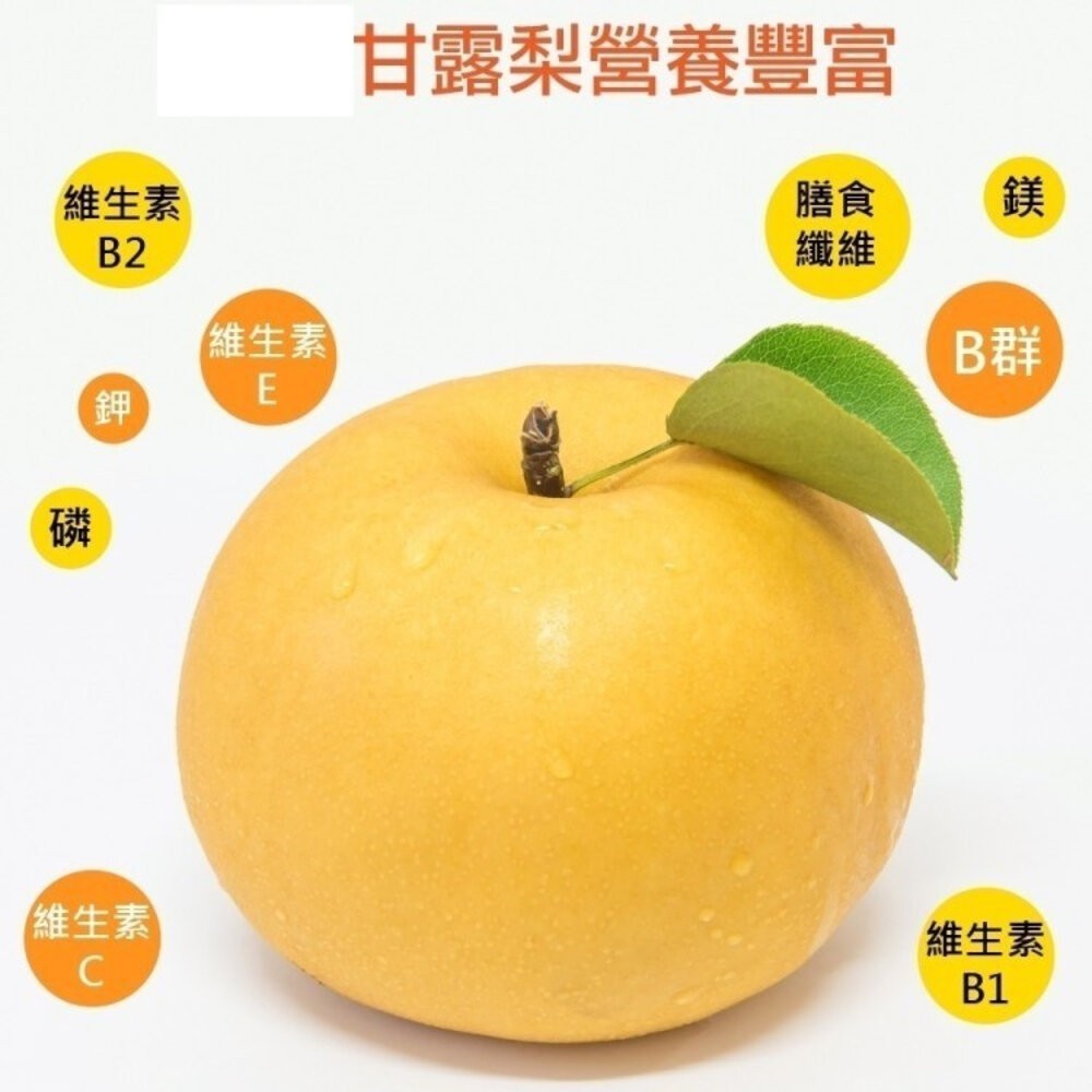 台灣寶島甘露梨 0運費【果之蔬】中秋禮盒 寶島梨 甘露梨 卓蘭梨 高山梨-細節圖4