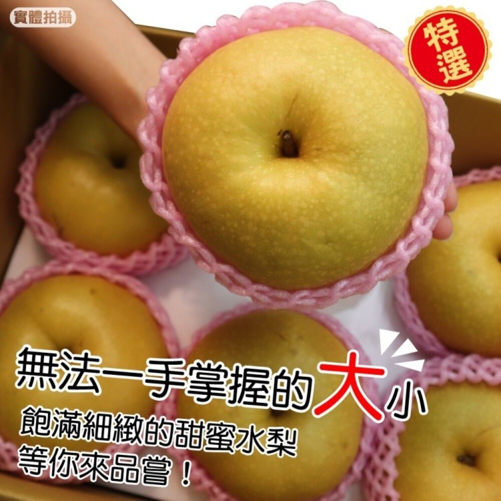 台灣寶島甘露梨 0運費【果之蔬】中秋禮盒 寶島梨 甘露梨 卓蘭梨 高山梨-細節圖6
