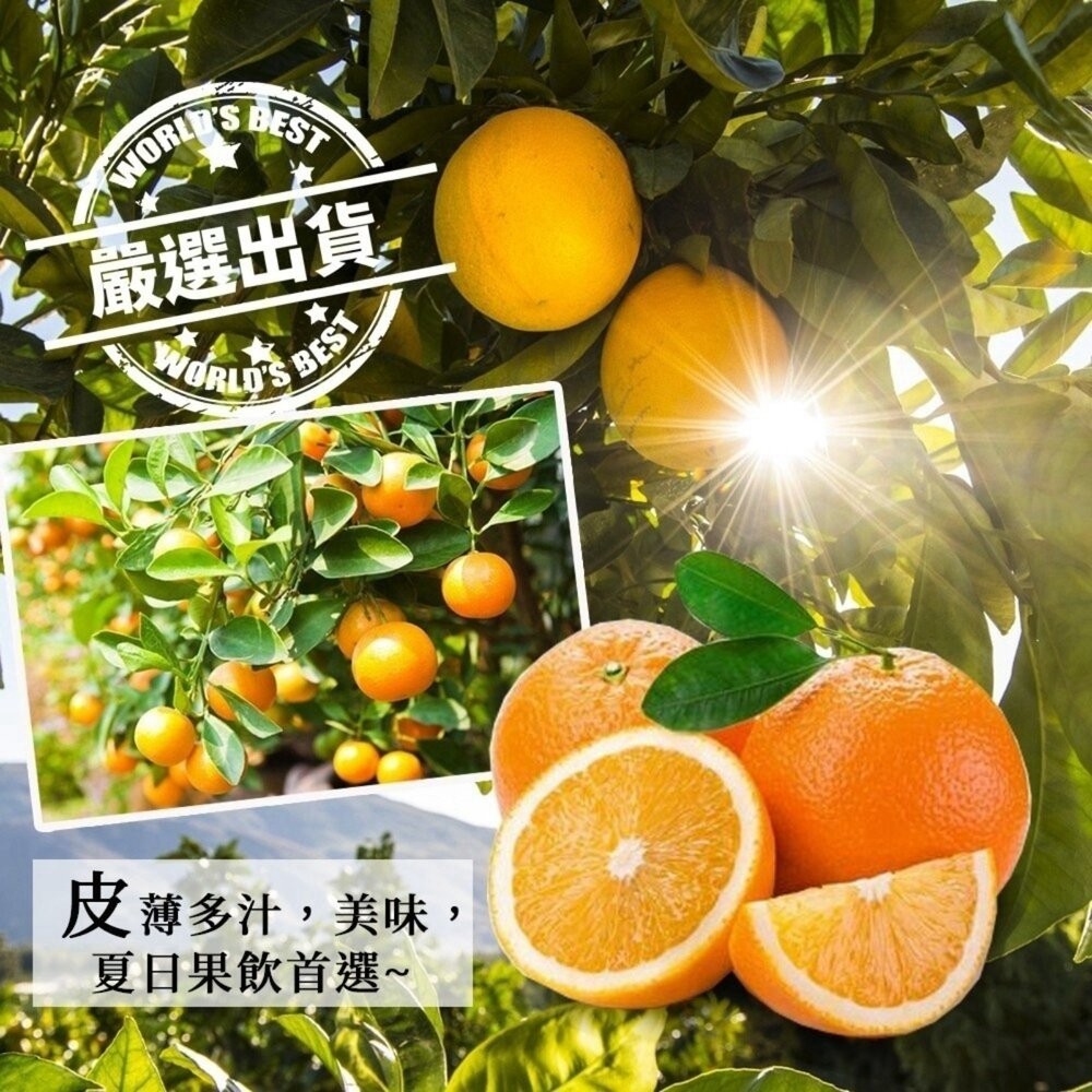 嚴選澳洲肚臍丁原箱16kg±10%含箱/113-138A 0運費【果之蔬】澳洲丁 澳洲柳丁 進口肚臍丁-細節圖3