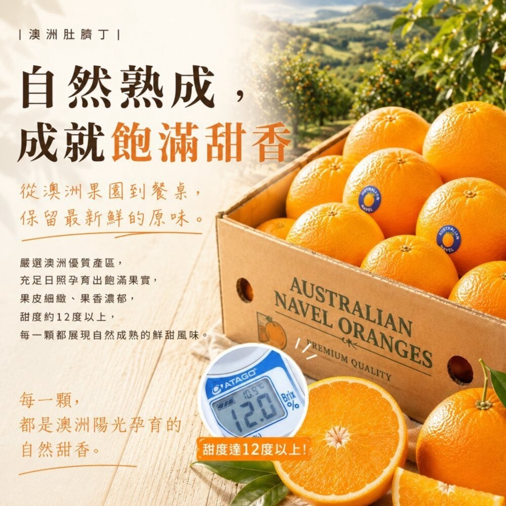 嚴選澳洲肚臍丁原箱16kg±10%含箱/113-138A 0運費【果之蔬】澳洲丁 澳洲柳丁 進口肚臍丁-細節圖5