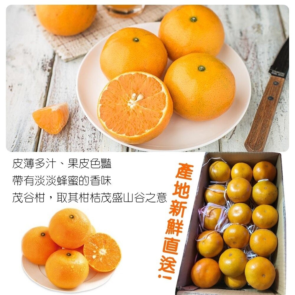 澳洲黃金茂谷柑 0運費【果之蔬】-細節圖2