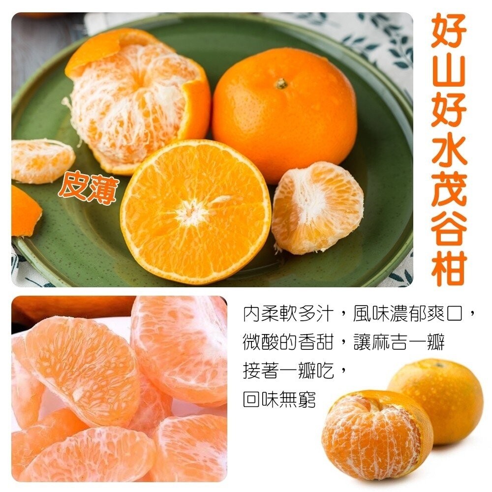 澳洲黃金茂谷柑 0運費【果之蔬】-細節圖3