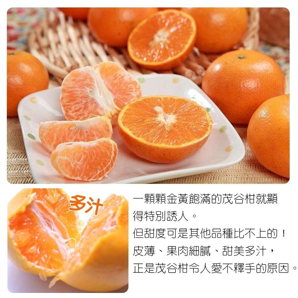 澳洲黃金茂谷柑 0運費【果之蔬】-細節圖4