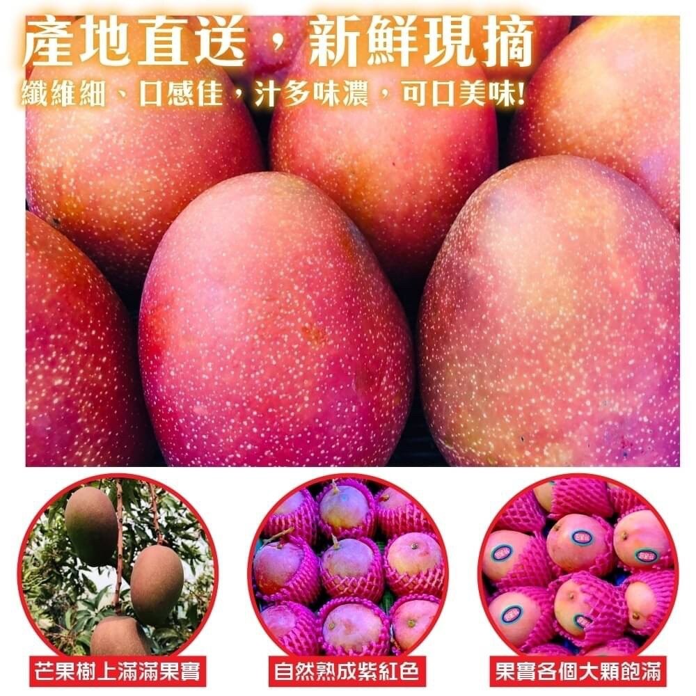 台南慢文芒果 10斤±10%含箱 0運費【果農直配】-細節圖2