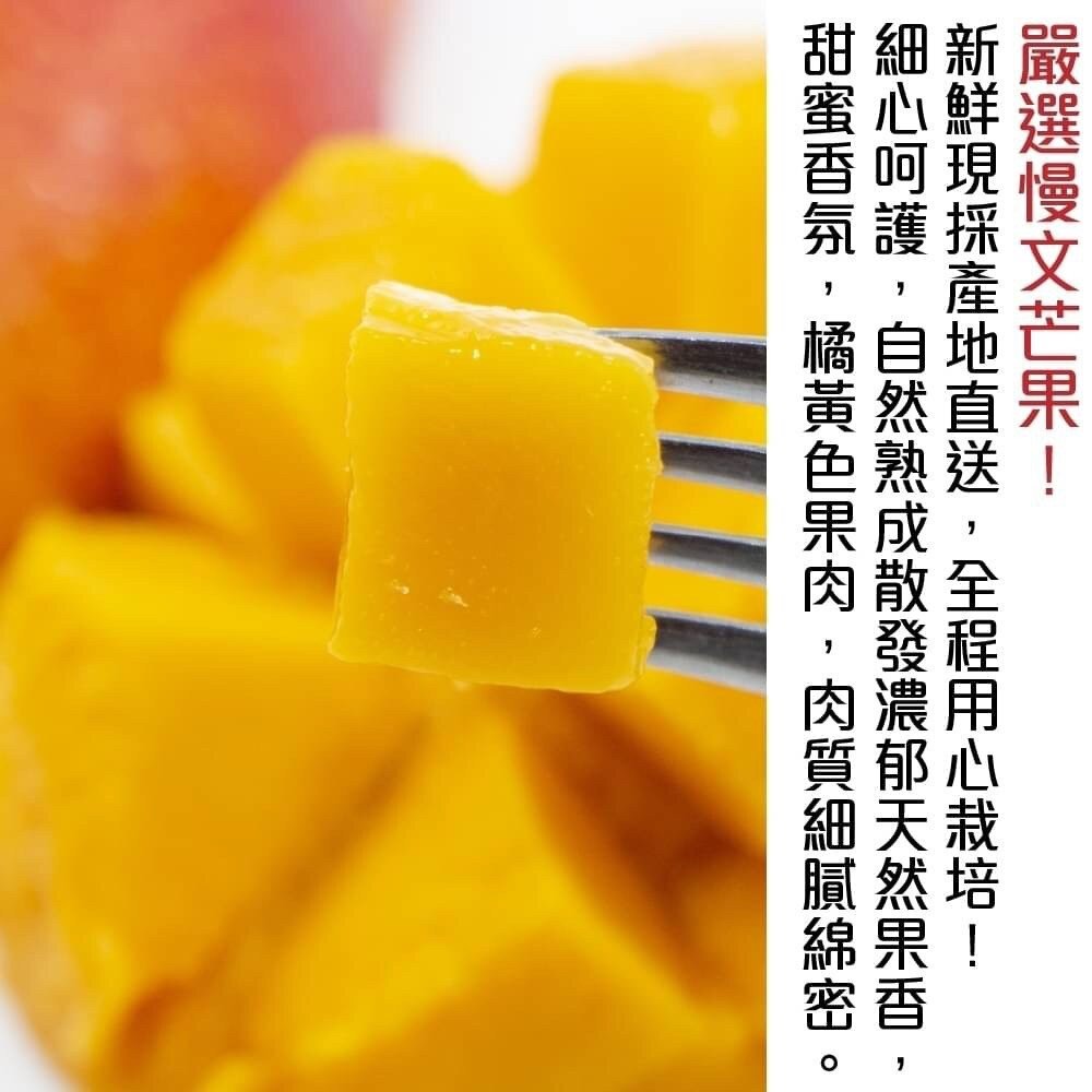 台南慢文芒果 10斤±10%含箱 0運費【果農直配】-細節圖3