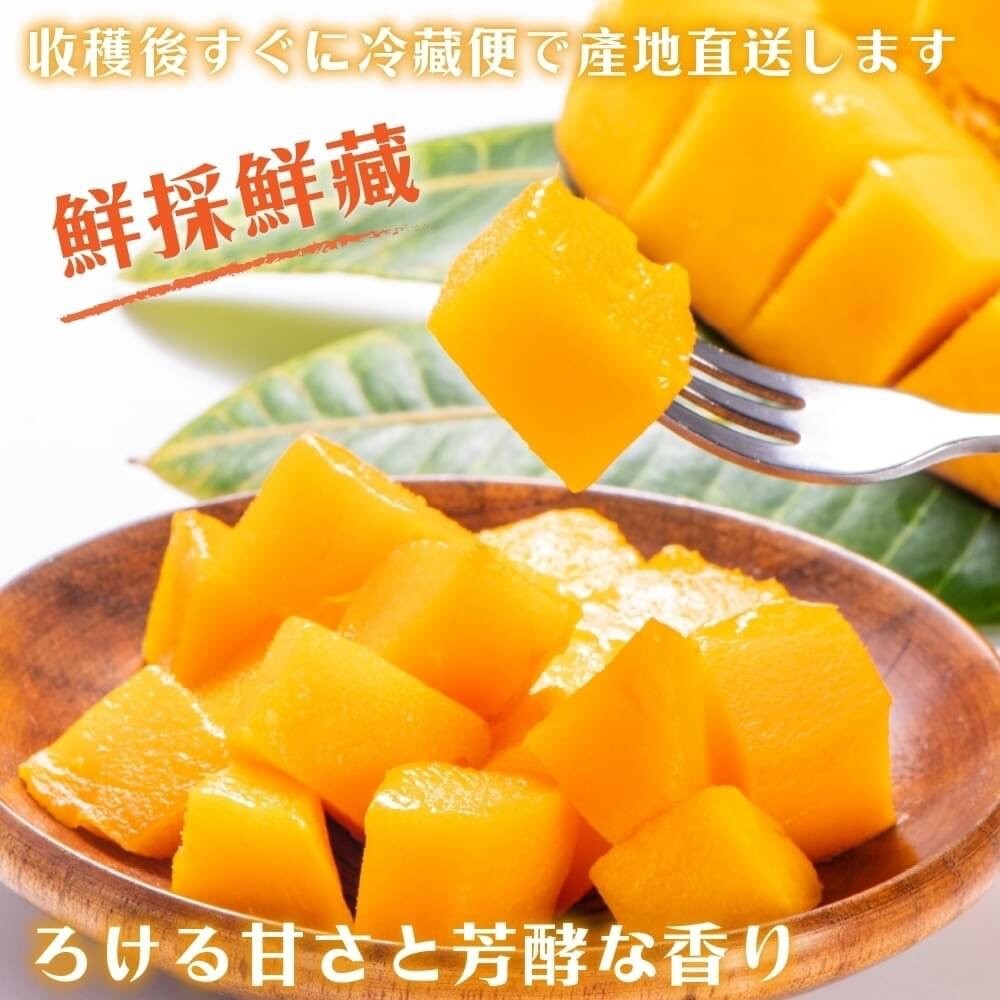 台南慢文芒果 10斤±10%含箱 0運費【果農直配】-細節圖4
