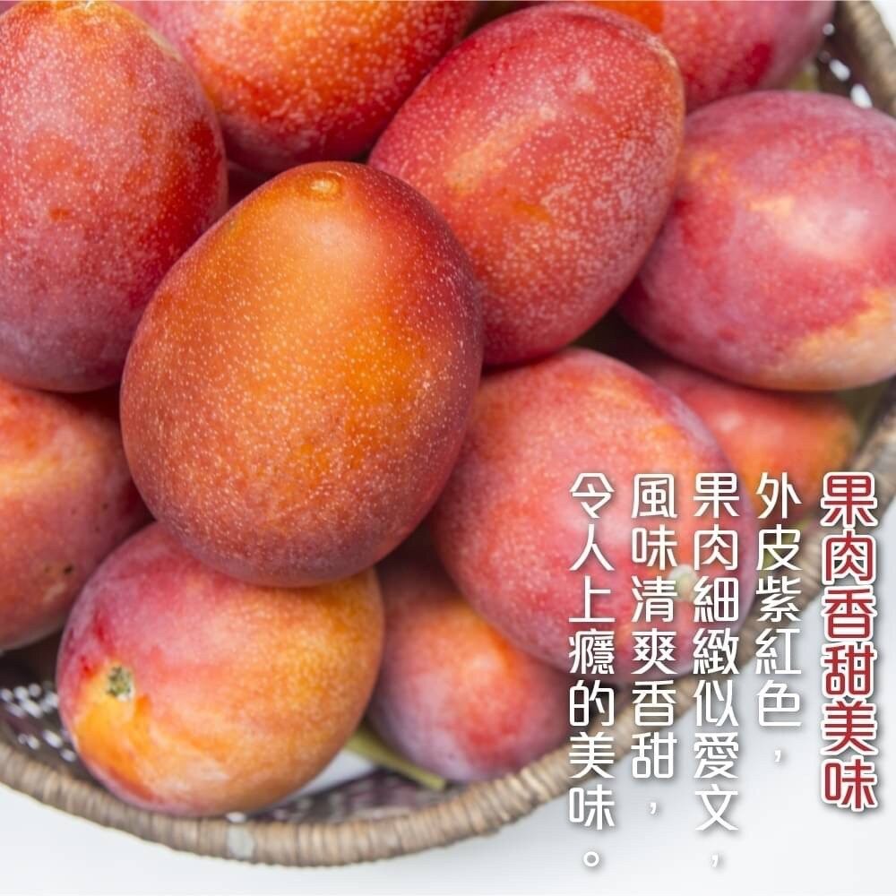 台南慢文芒果 10斤±10%含箱 0運費【果農直配】-細節圖5