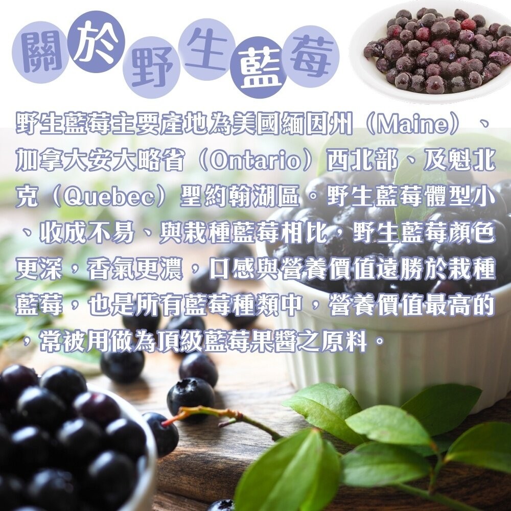 冷凍加拿大野生藍莓家庭原裝包(每包1kg±10%)【海陸管家】滿額免運-細節圖2