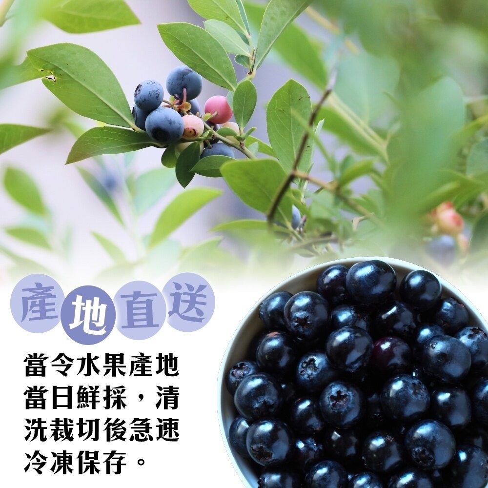 冷凍加拿大野生藍莓家庭原裝包(每包1kg±10%)【海陸管家】滿額免運-細節圖4