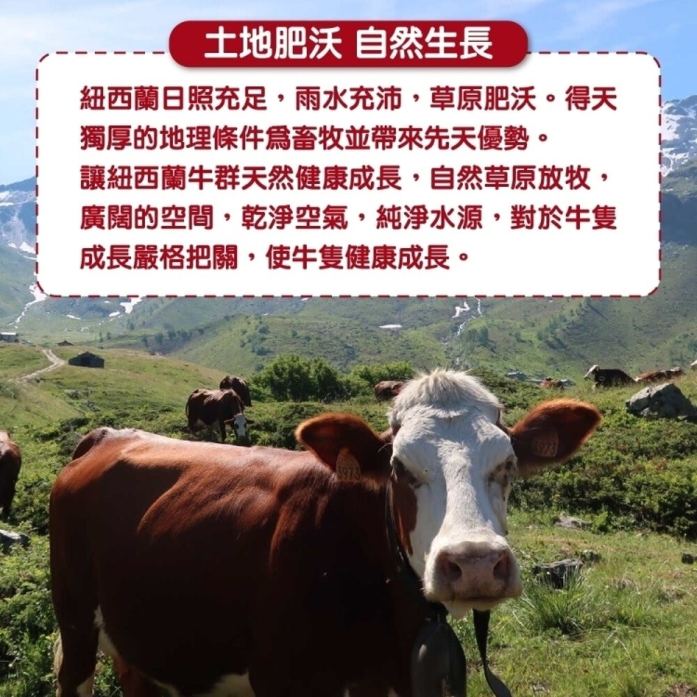 紐西蘭濃香紐約客牛排(每片150g±10%)【天天鮮配】滿額免運 紐西蘭牛排 紐約客-細節圖4