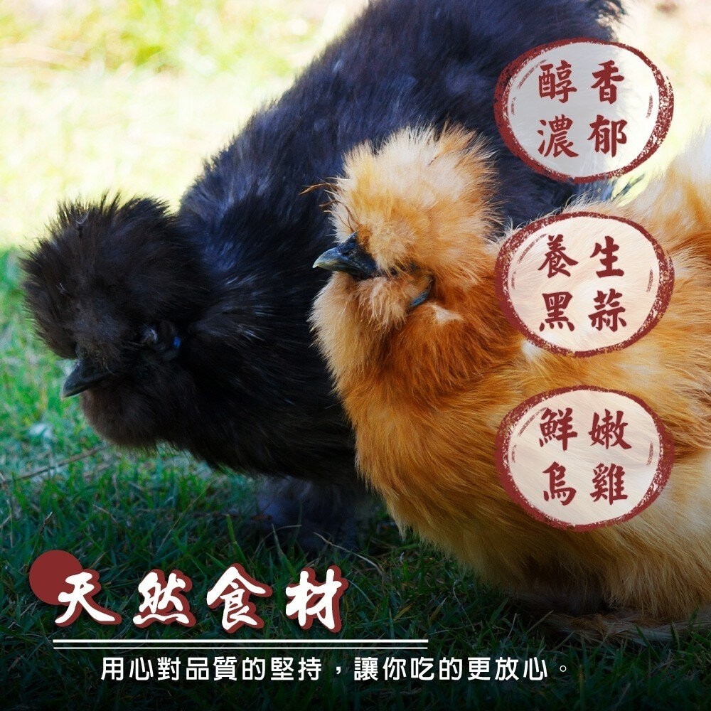 黑蒜烏骨雞湯(全雞)(每組2300g±10%)【天天鮮配】年菜必買-細節圖5