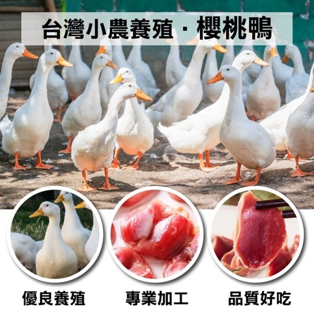 台灣屏東生鮮鴨胗(每包1kg±10%)【天天鮮配】滿額免運-細節圖3