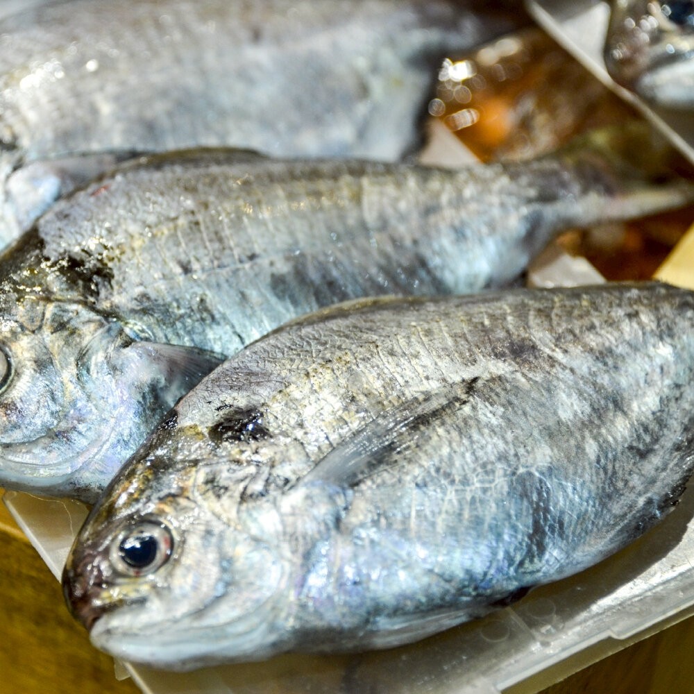 嚴選野生肉魚(每包4-6尾/約480g±10%)【天天鮮配】肉鯽仔-細節圖2