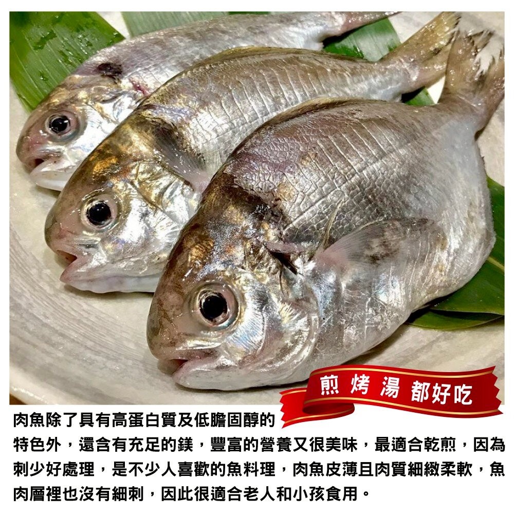 嚴選野生肉魚(每包4-6尾/約480g±10%)【天天鮮配】肉鯽仔-細節圖5