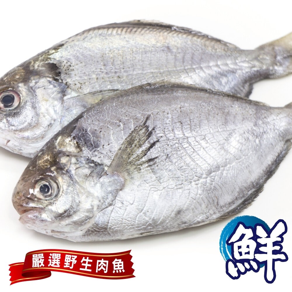 嚴選野生肉魚(每包4-6尾/約480g±10%)【天天鮮配】肉鯽仔-細節圖6
