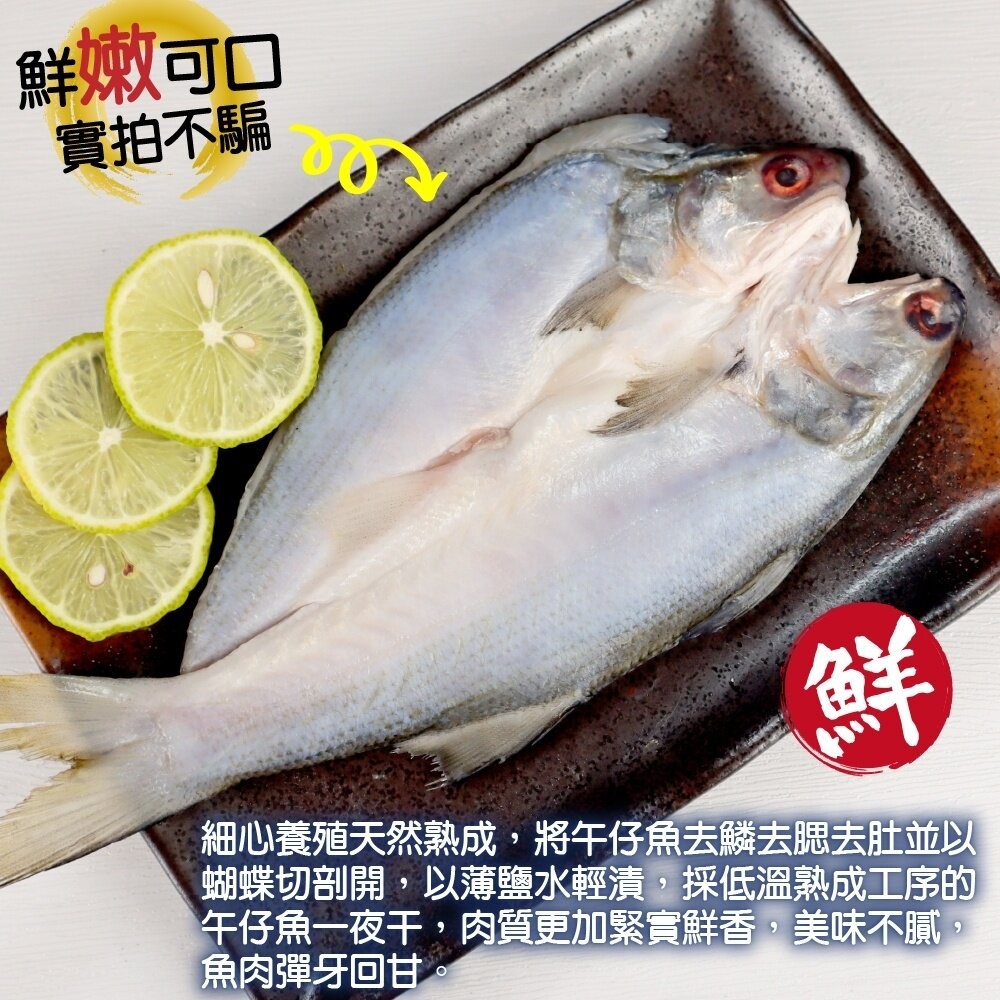 台灣午仔魚一夜干【天天鮮配】滿額免運 午仔魚一夜干 日式烤魚 煎烤氣炸 冷凍海鮮-細節圖3