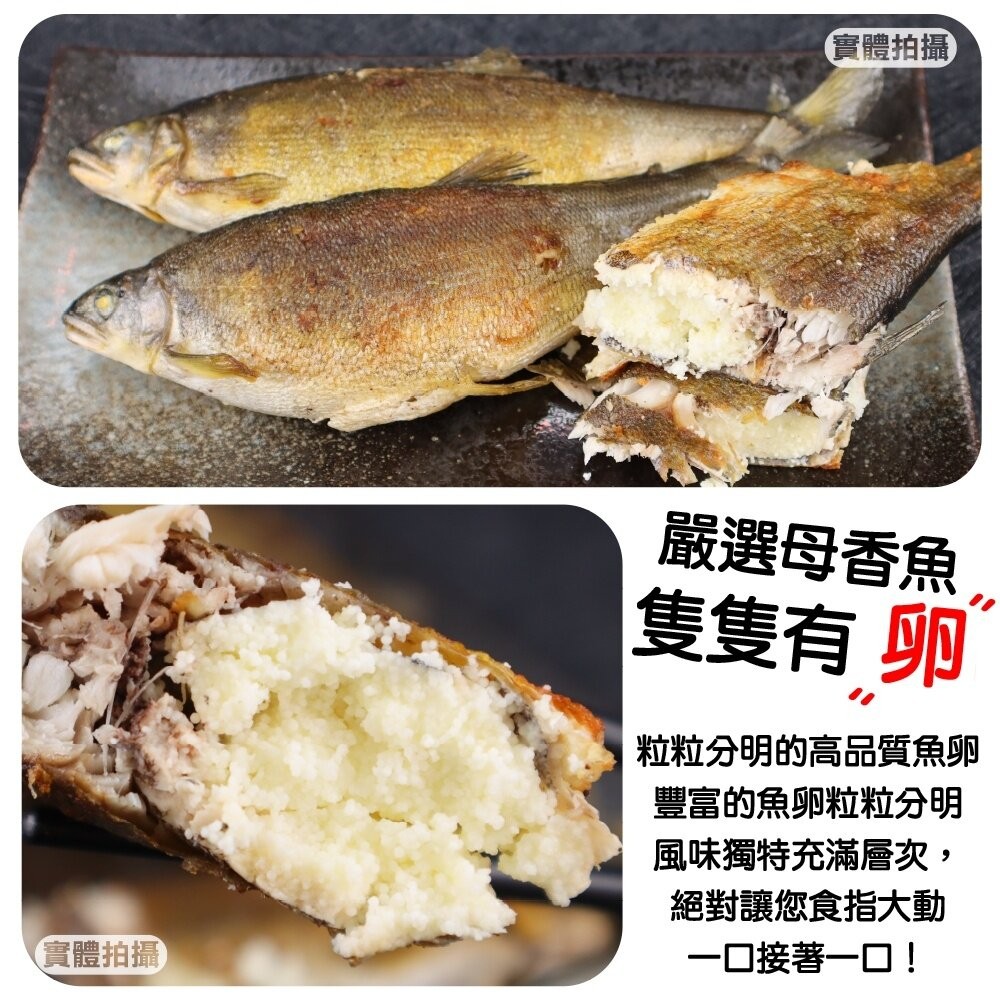 宜蘭嚴選爆卵母香魚(每盒8尾/1kg±10%)【天天鮮配】滿額免運-細節圖3