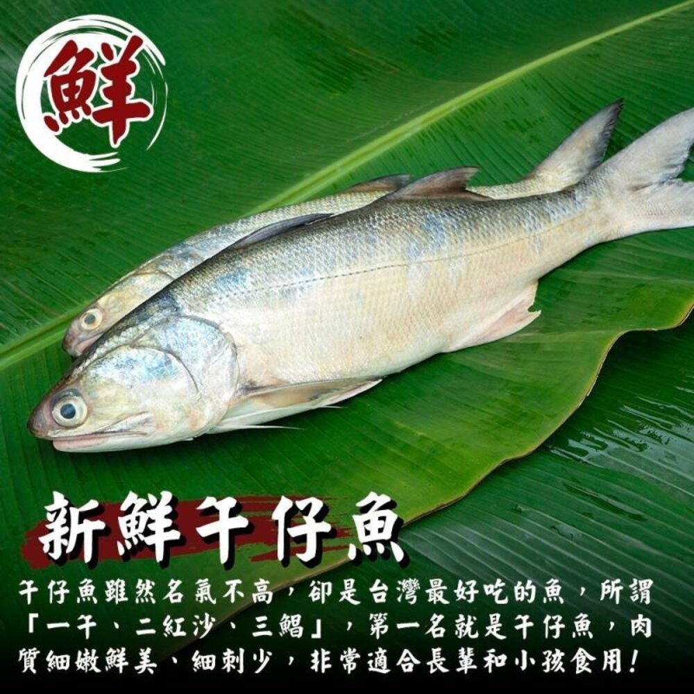 午仔魚清肉片(每片約60-80g)【天天鮮配】滿額免運 午仔魚 清肉 魚片-細節圖2