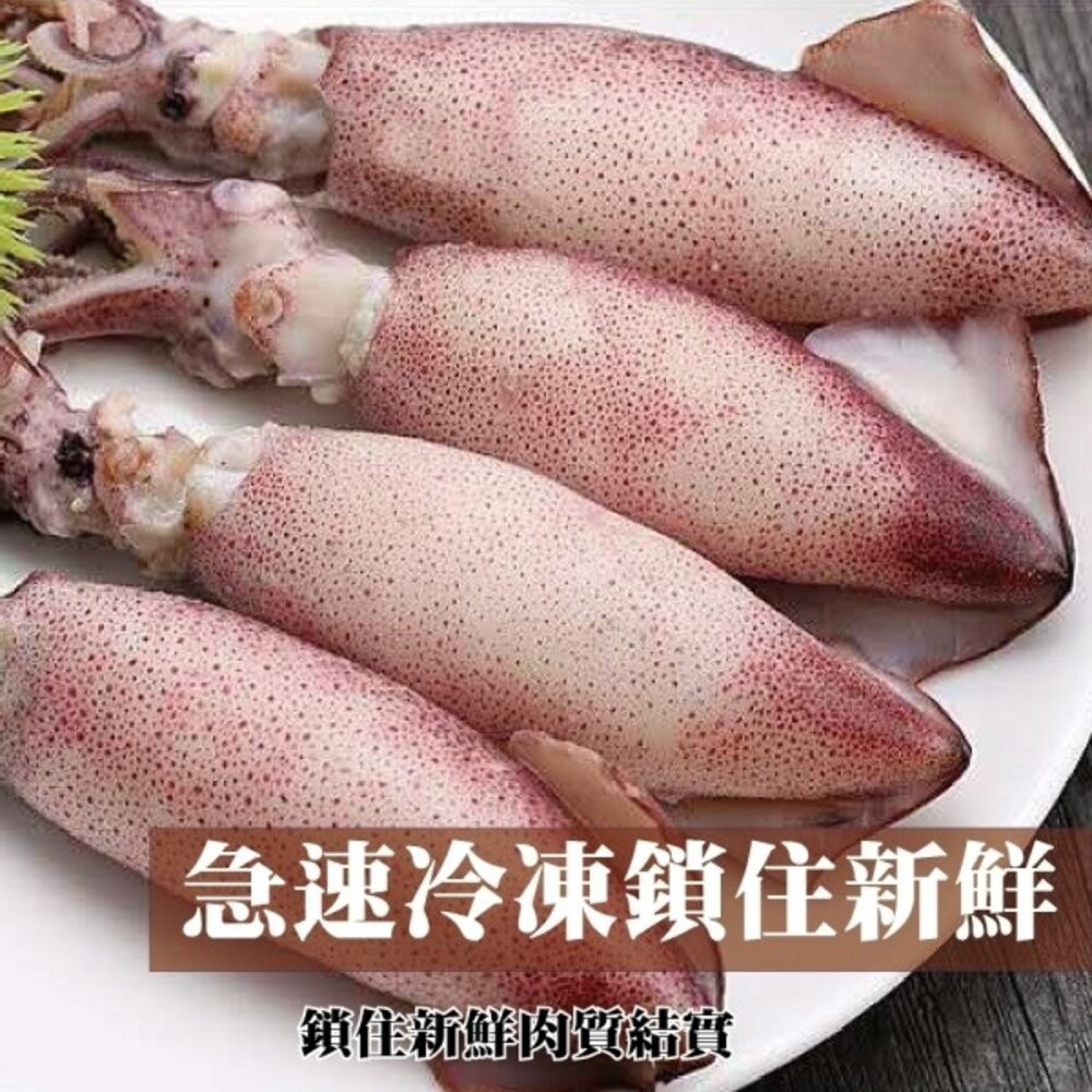 野生鮮甜QQ有卵小卷(每包250g±10%)【海陸管家】滿額免運-細節圖3