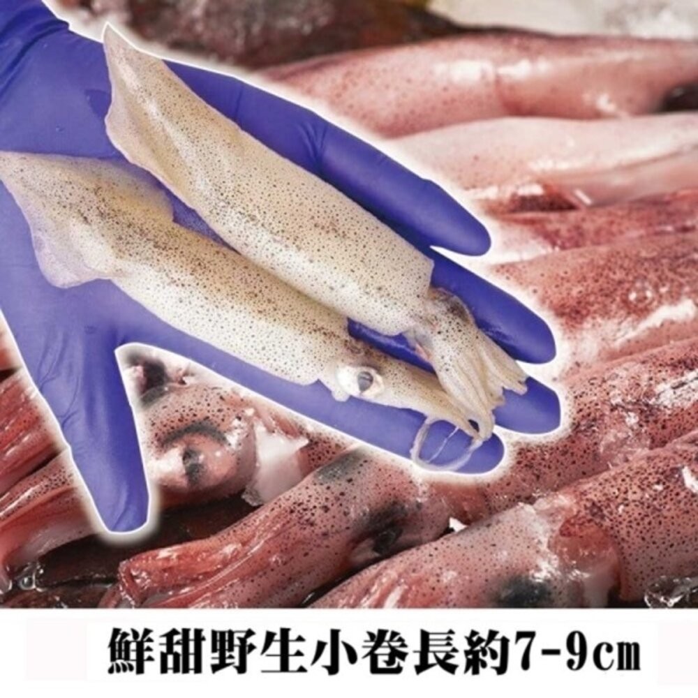 野生鮮甜QQ有卵小卷(每包250g±10%)【海陸管家】滿額免運-細節圖6