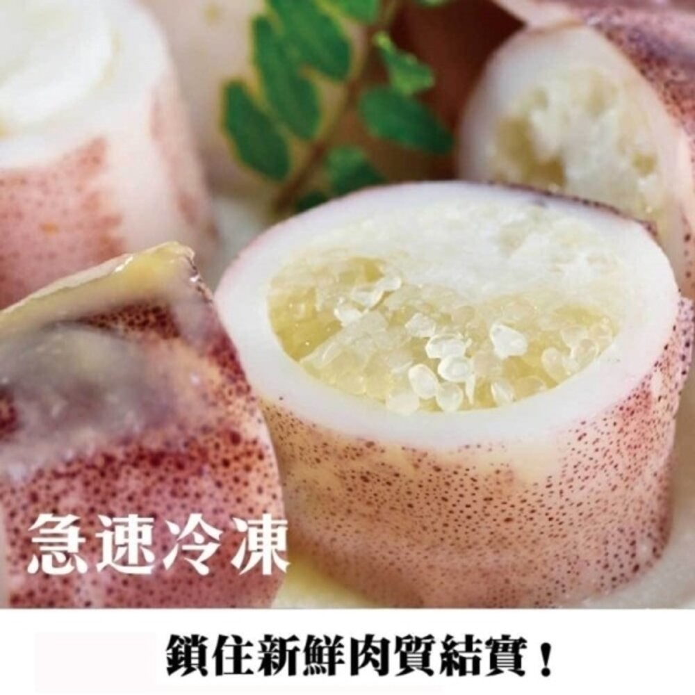 野生鮮甜QQ有卵小卷(每包250g±10%)【海陸管家】滿額免運-細節圖7