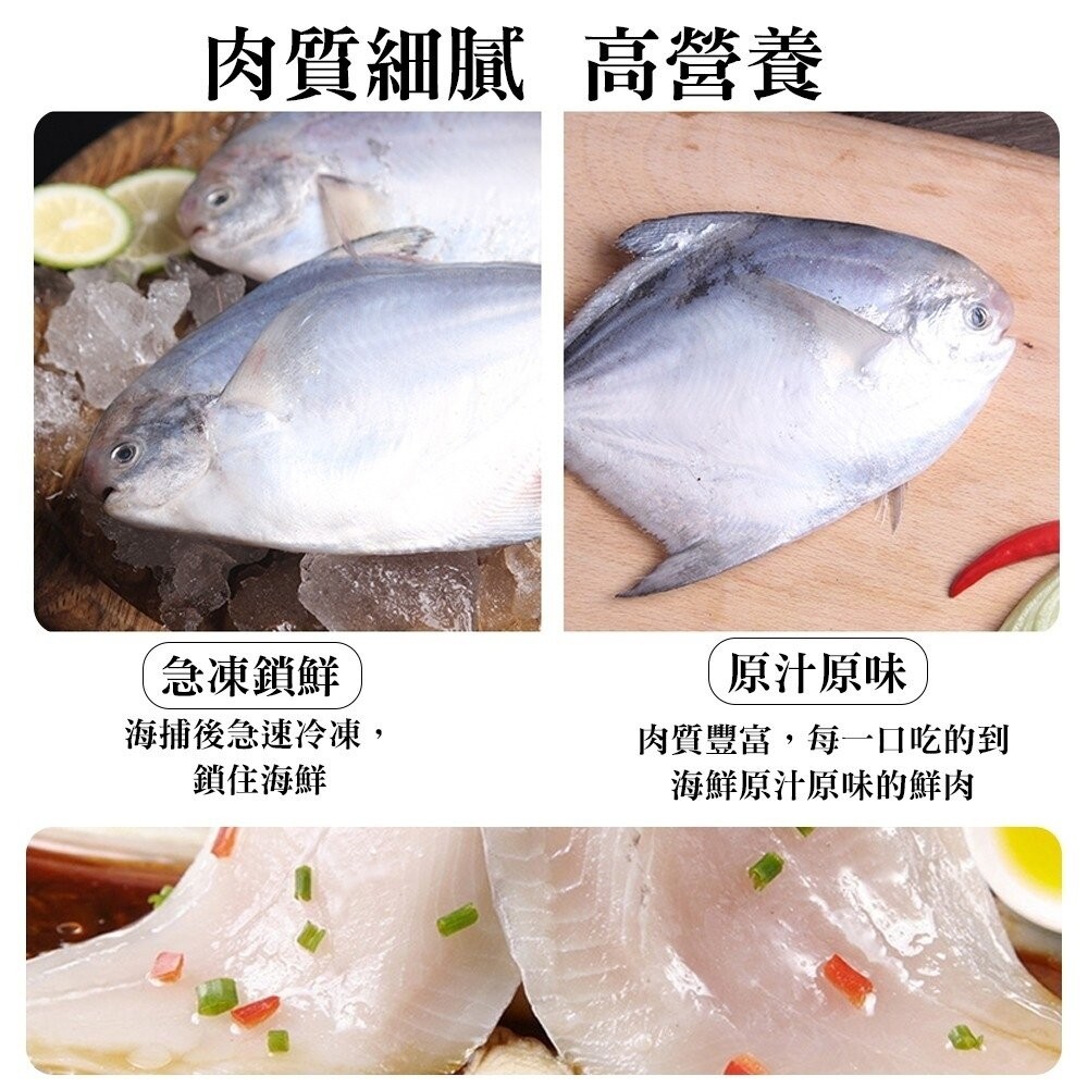 鮮嫩野生白鯧魚2尾組(每尾220g-280g)【天天鮮配】滿額免運-細節圖3