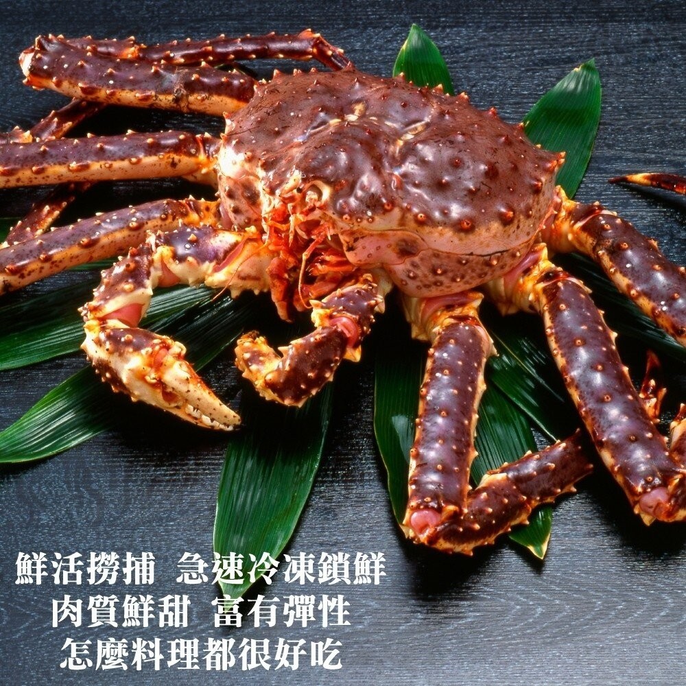 霸王級生凍帝王蟹(每隻1.5kg-2kg±10%) 【天天鮮配】全省免運-細節圖2