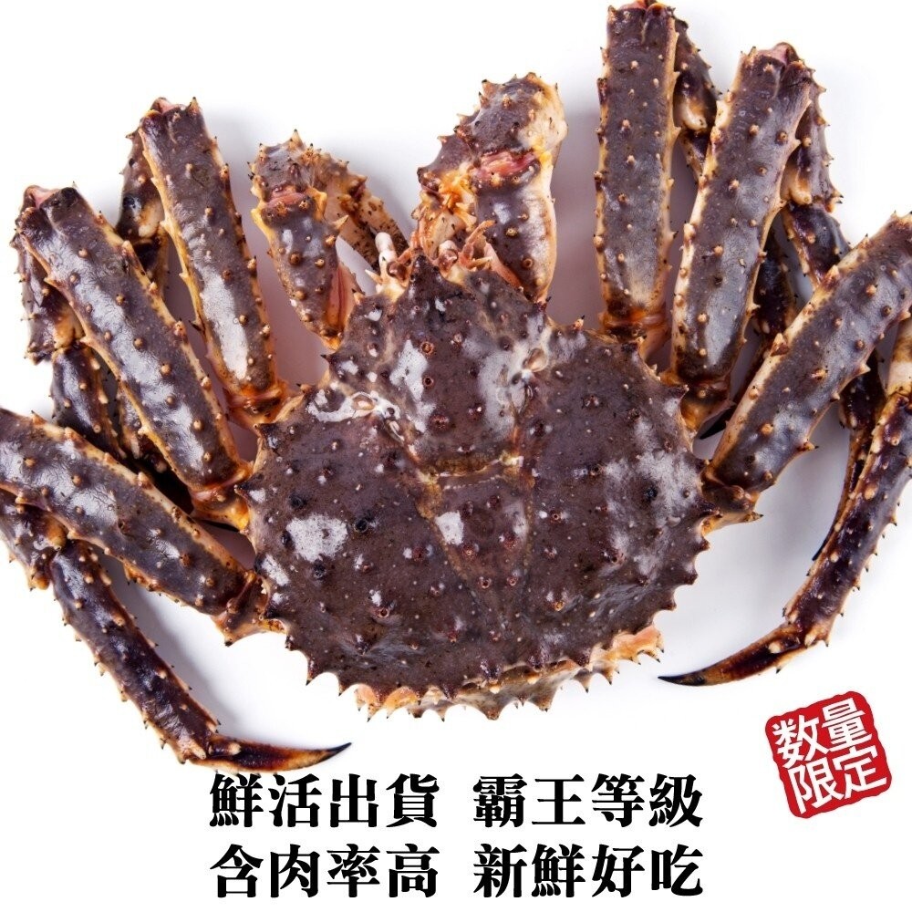 霸王級生凍帝王蟹(每隻1.5kg-2kg±10%) 【天天鮮配】全省免運-細節圖3