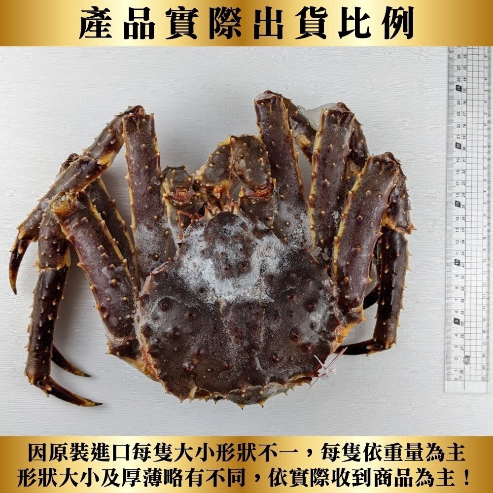 霸王級生凍帝王蟹(每隻1.5kg-2kg±10%) 【天天鮮配】全省免運-細節圖7