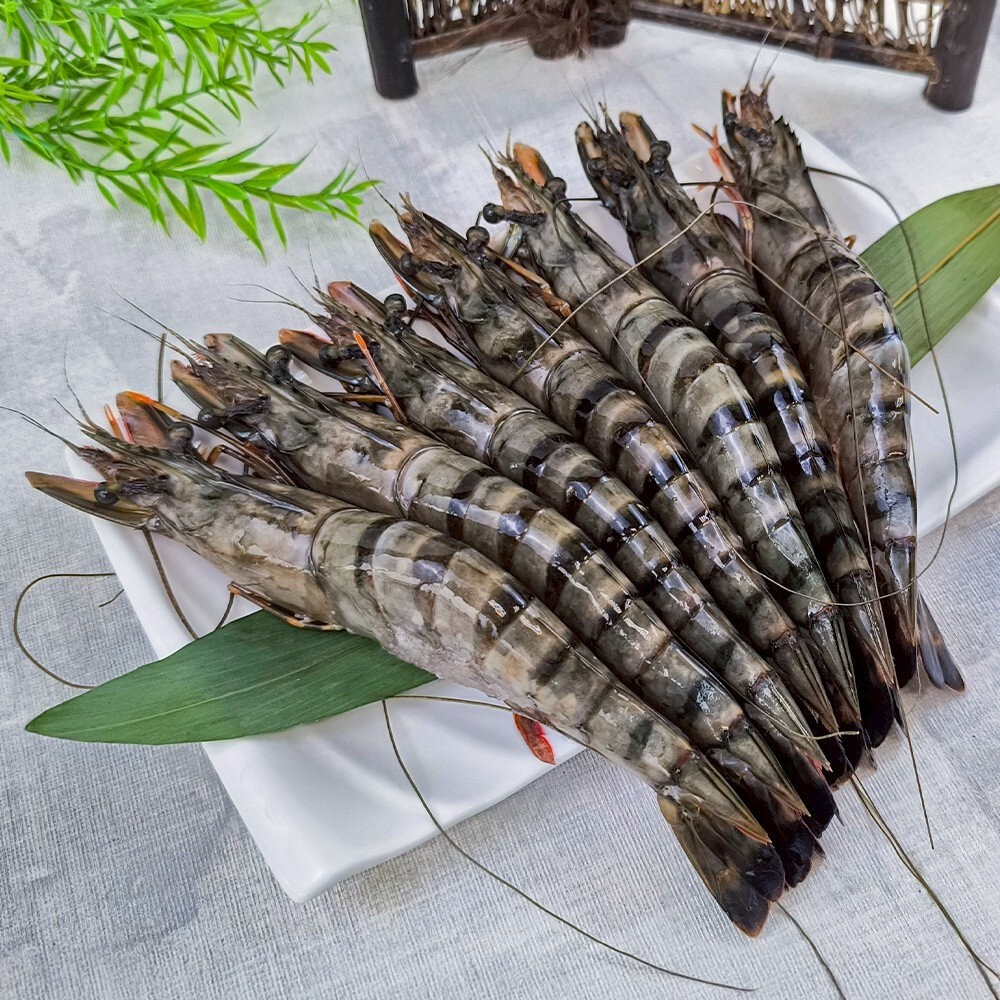 巨無霸野生海草蝦(每盒6-7尾/淨重500g)【天天鮮配】滿額免運 草蝦 虎蝦 大草蝦-細節圖2