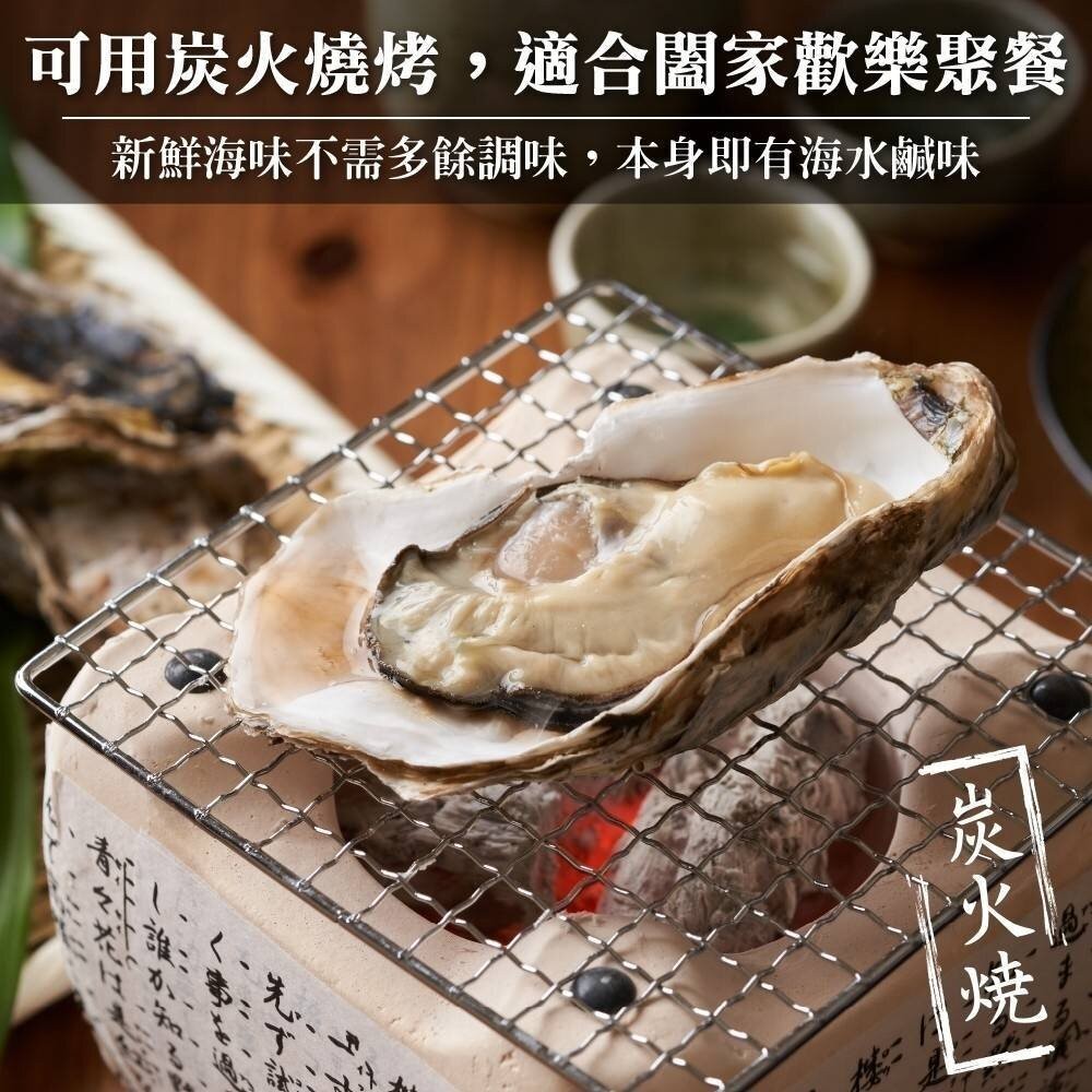 日本原裝全殼牡蠣L號(每包7顆/約500g)【天天鮮配】滿額免運-細節圖3