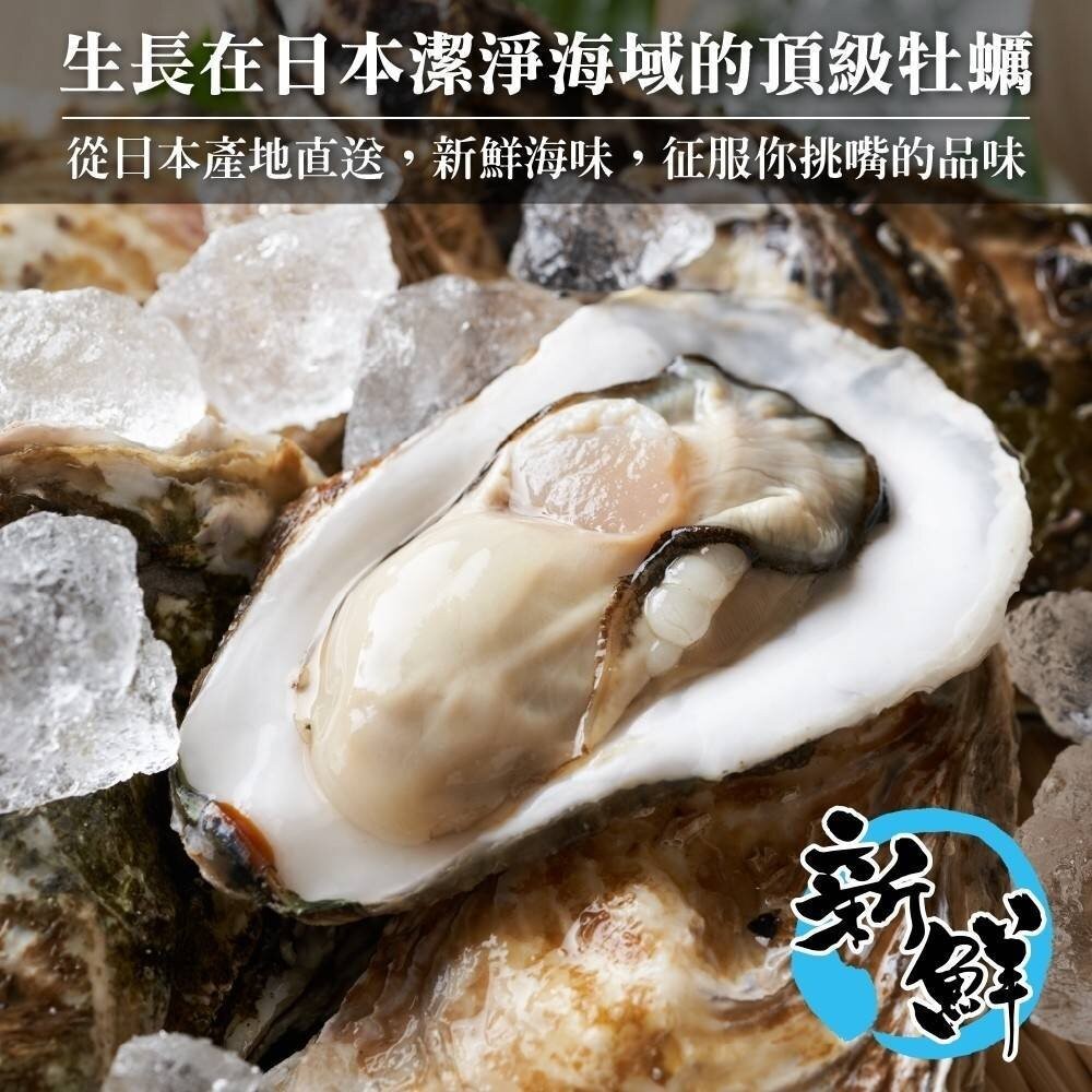日本原裝全殼牡蠣2L號(每包5顆/約500g)【天天鮮配】滿額免運-細節圖3